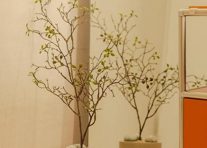 홍대 라라스테이 Seul